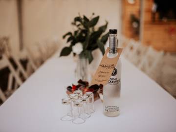 Delta Audio Entertainment