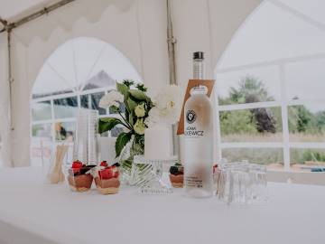 Delta Audio Entertainment